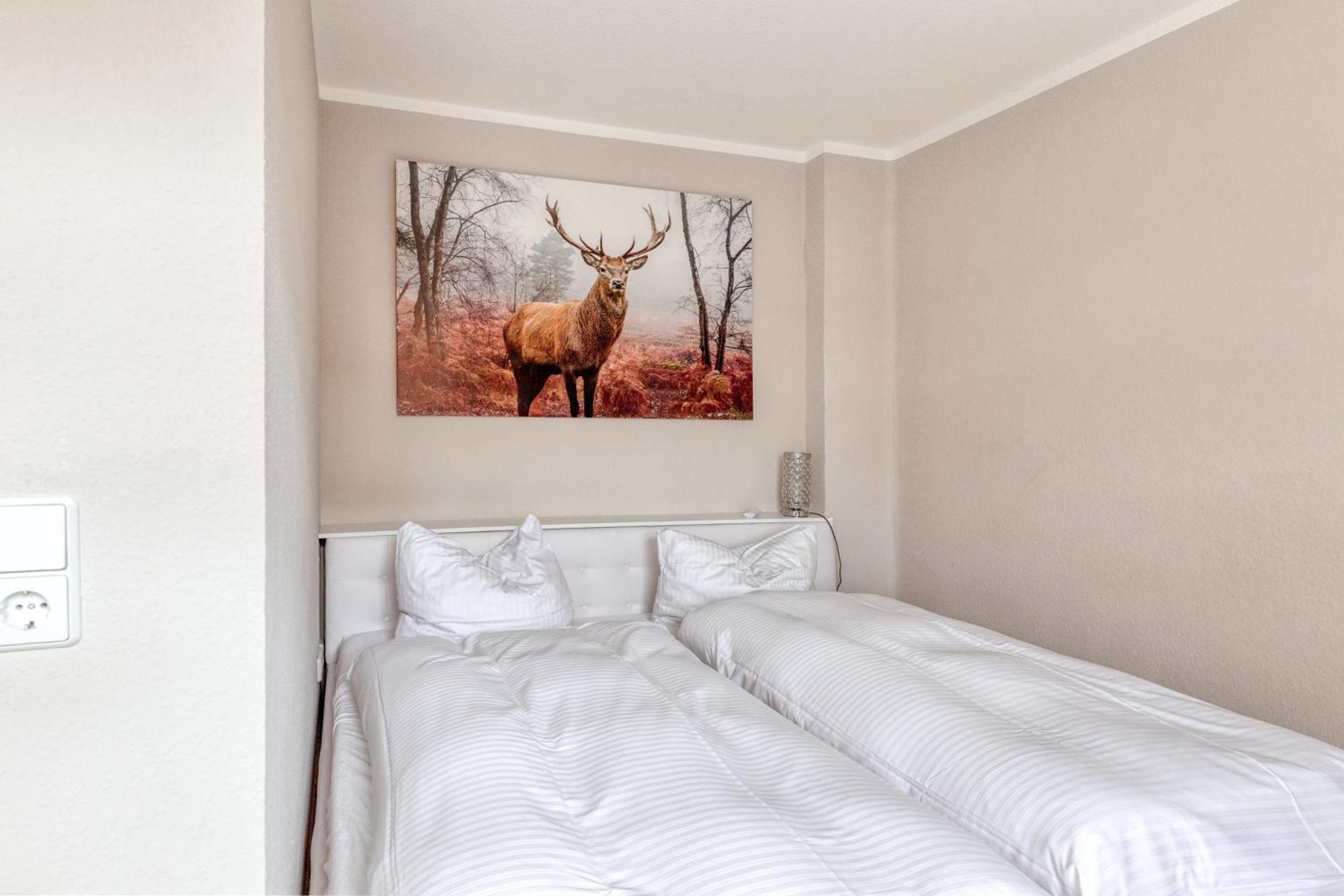 Ferienwohnungen Ziesing Thale Exteriér fotografie
